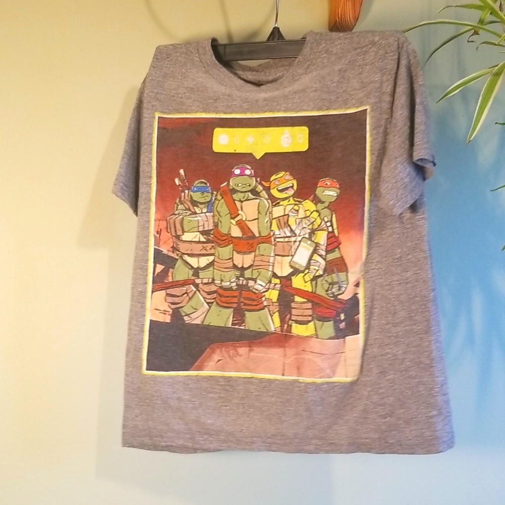 Boys Teenage Mutant Ninja Turtles Short Sleeve Shirt